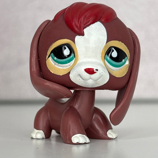 LPS Beagle Dog