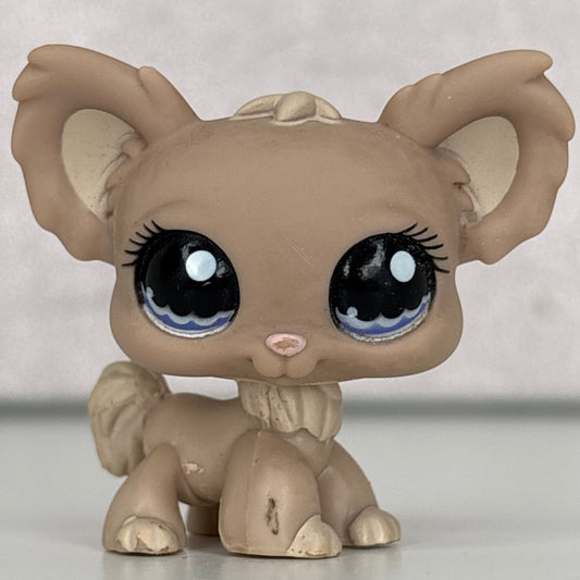 LPS Chihuahua Dog*