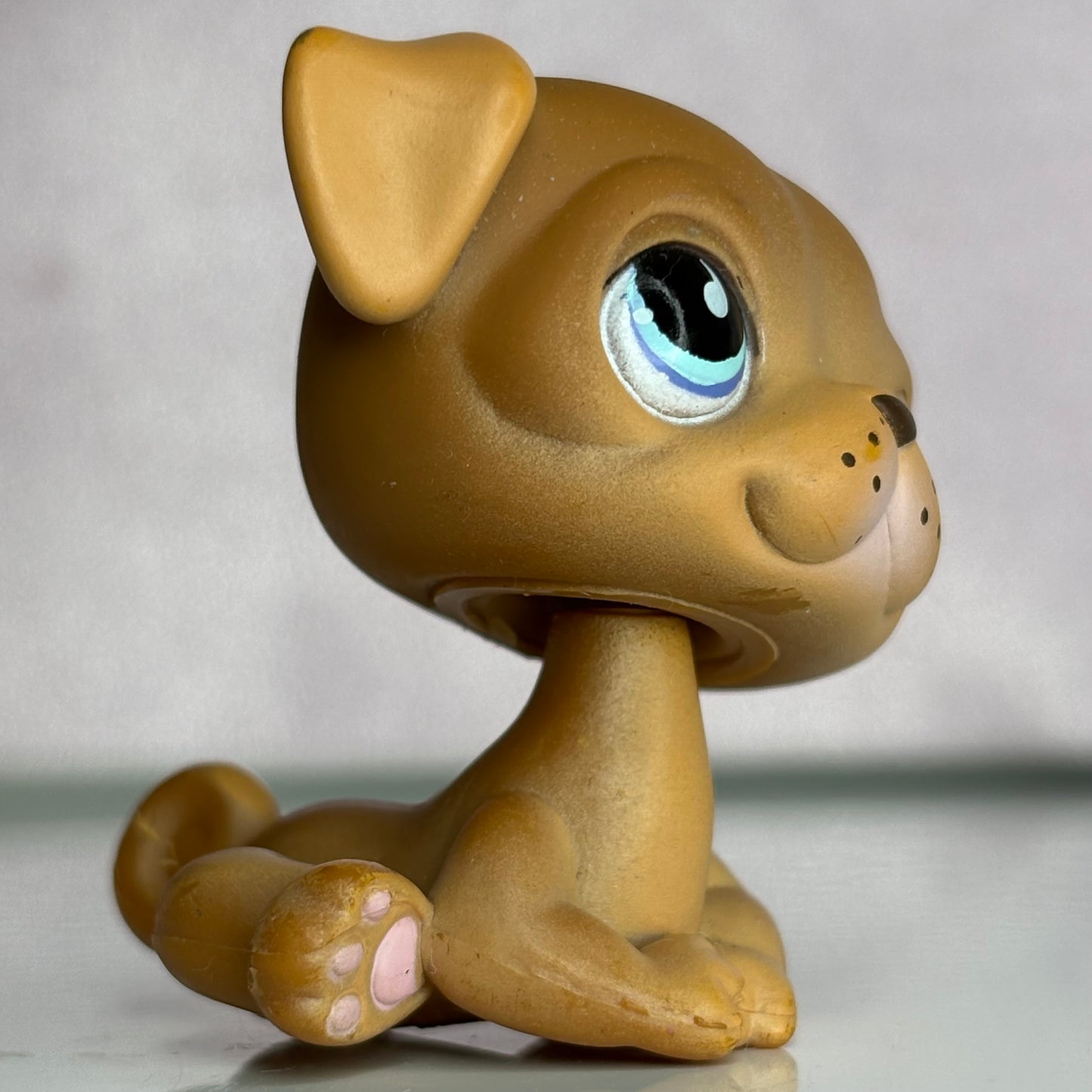 LPS Pug Dog #901