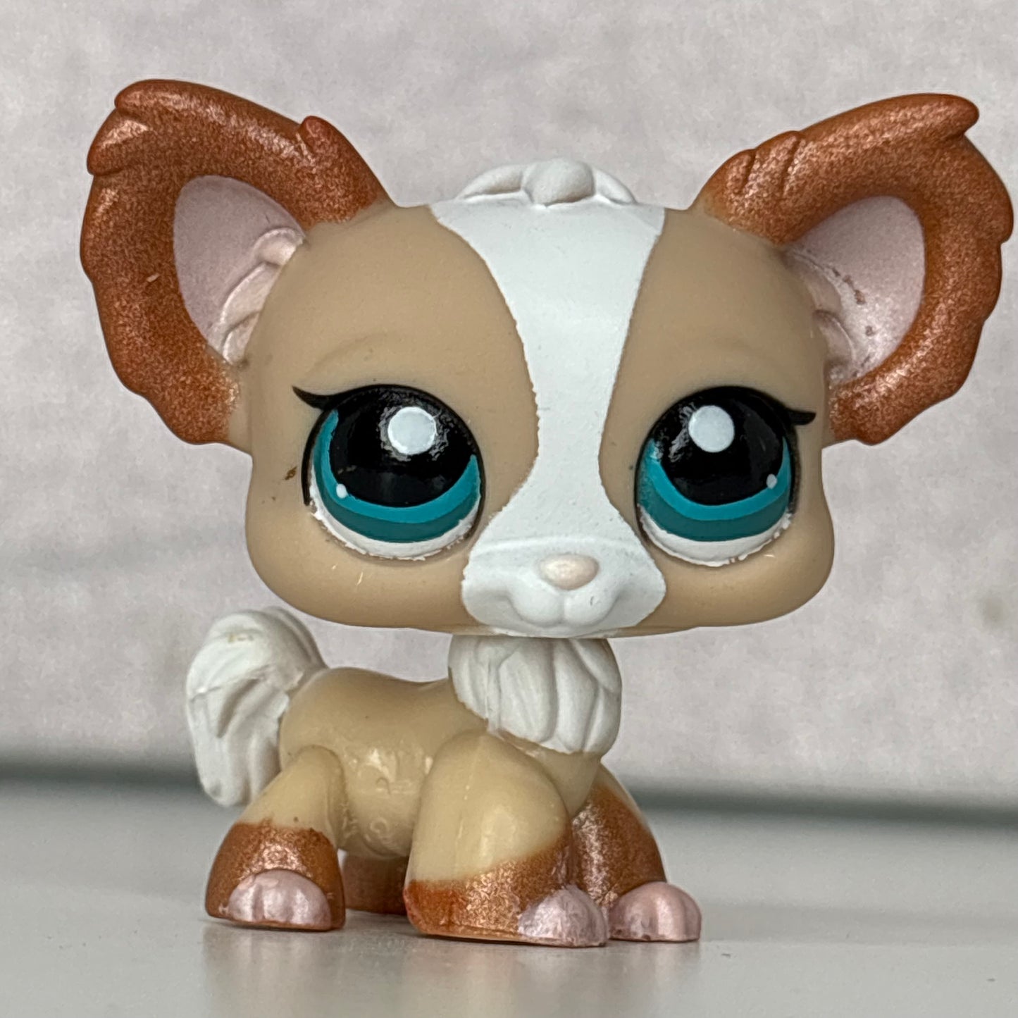 LPS Chihuahua Dog #1082
