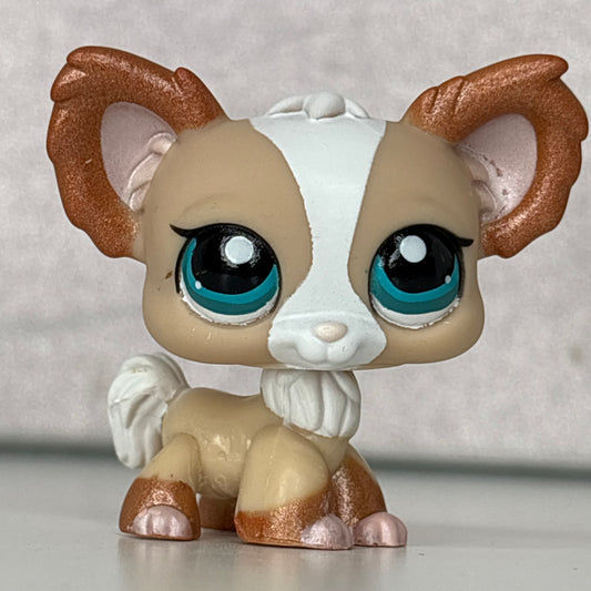 LPS Chihuahua Dog #1082