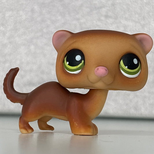 LPS Ferret #209