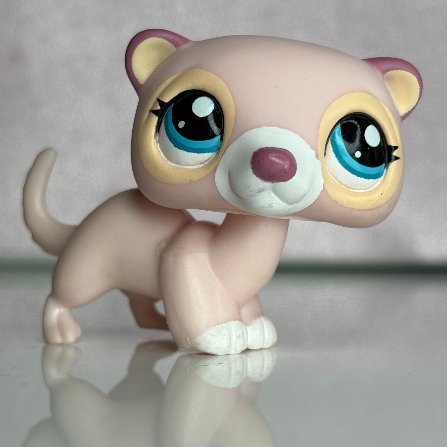 LPS Ferret #1624