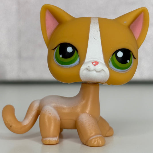LPS Shorthair Cat #72