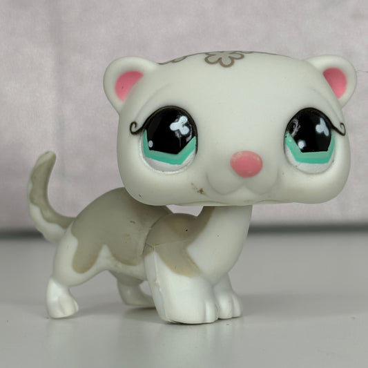 LPS Ferret #579