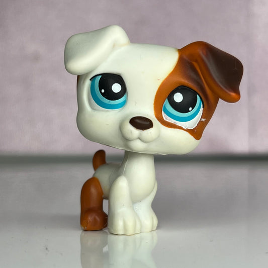 LPS Jack Russel Dog #151