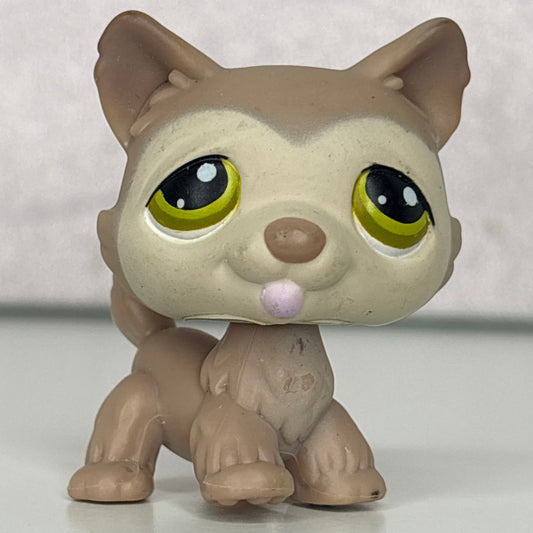 LPS Husky Dog #358