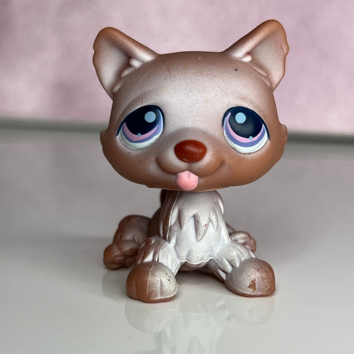 LPS Husky Dog #38