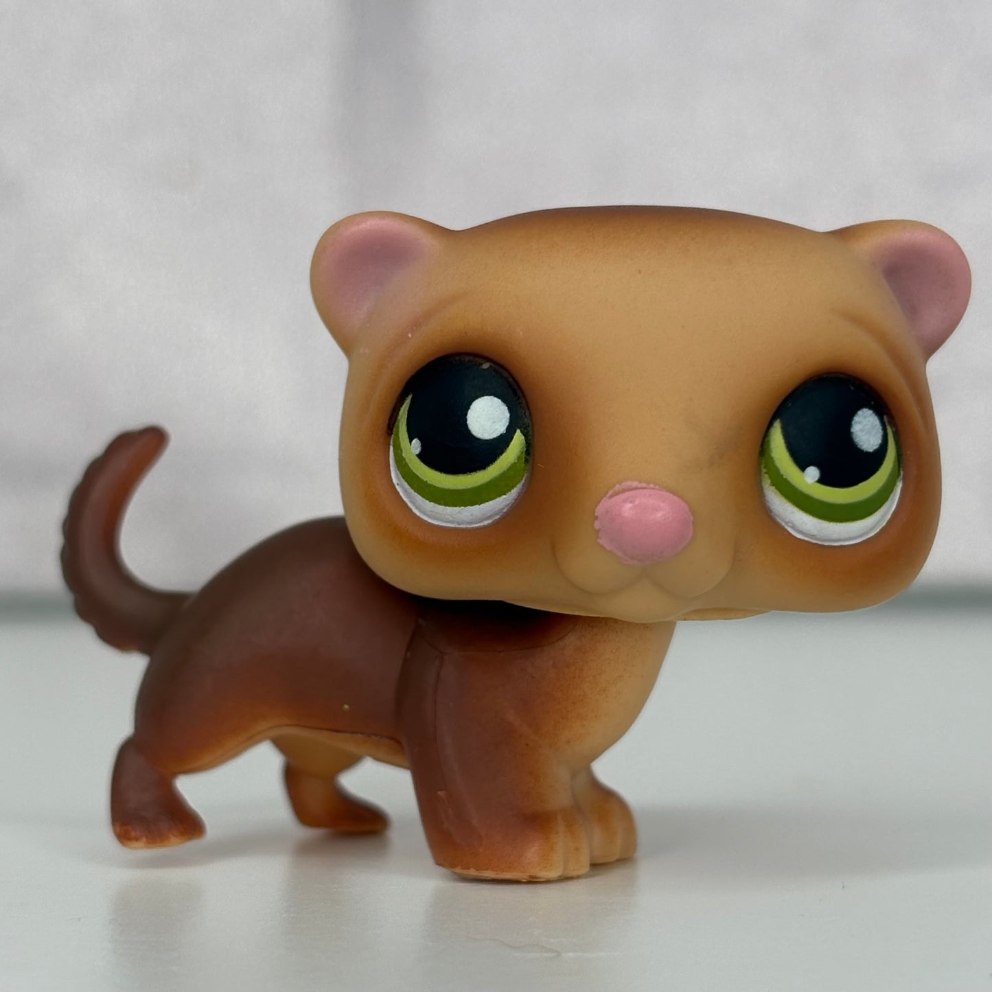 LPS Ferret #209