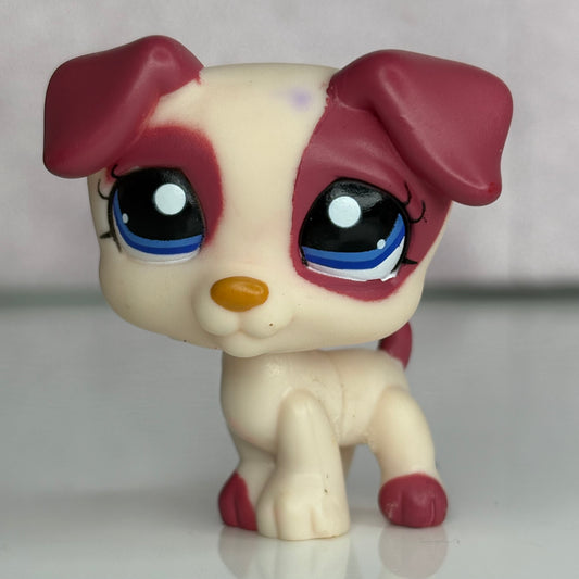 LPS Jack Russel Dog #1200