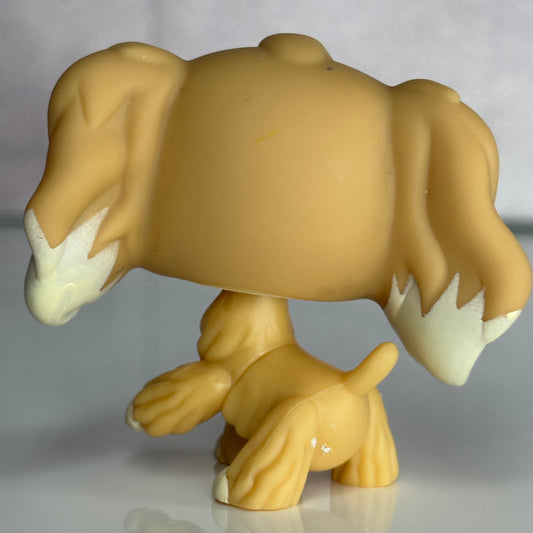 LPS Cocker Spaniel Dog #748
