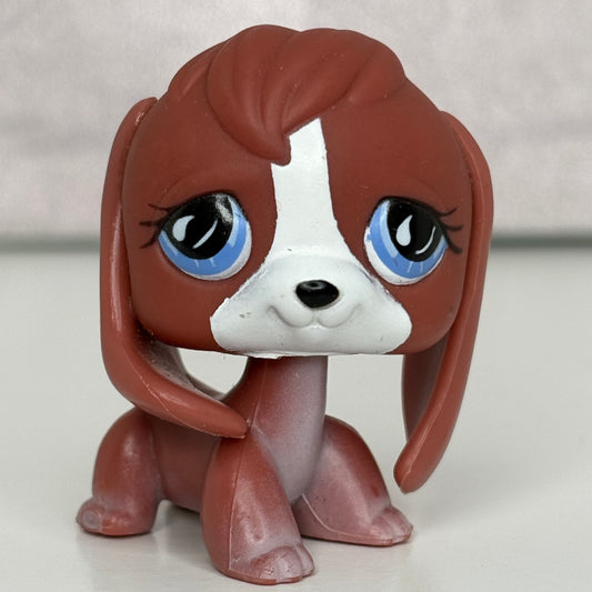 LPS Beagle Dog #567