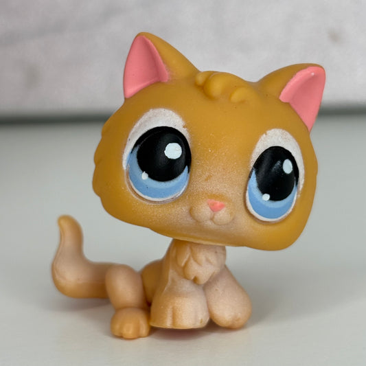 LPS Kitten #47