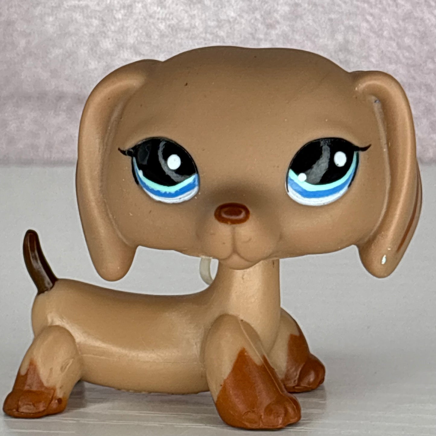 LPS Dachshund Dog Eye Variant