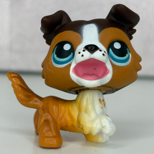 LPS Open Mouth Collie Dog