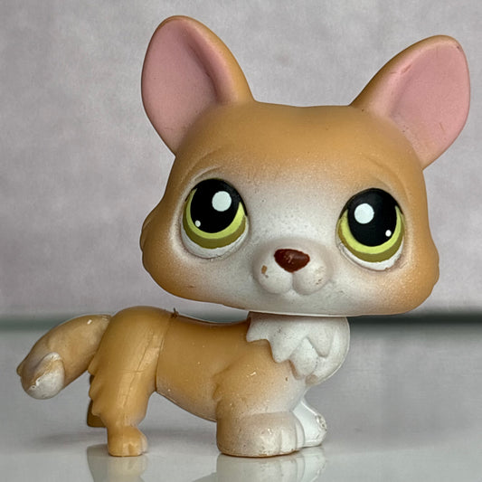 LPS Corgi Dog #183