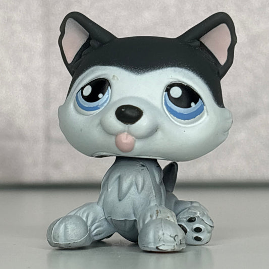 LPS Husky Dog #210