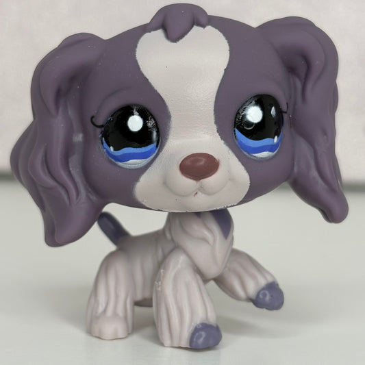 LPS Purple  Cocker Spaniel Dog #672