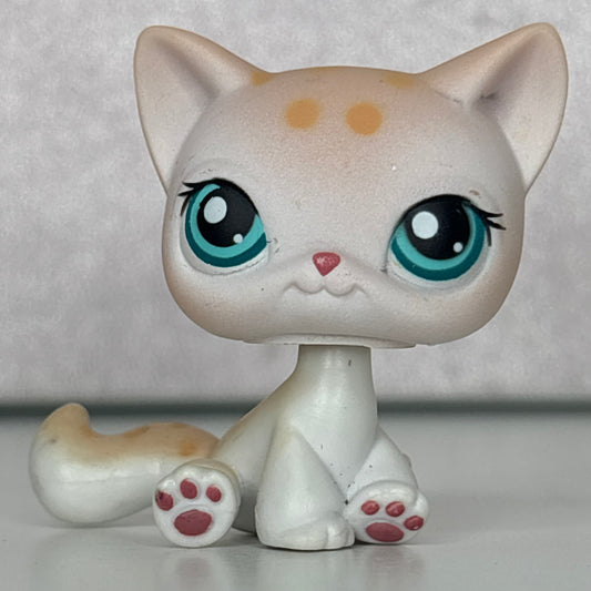 LPS Shorthair Cat