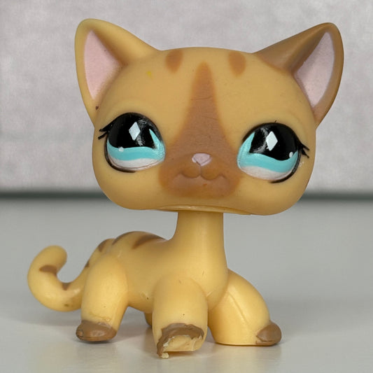 LPS Shorthair Cat #886