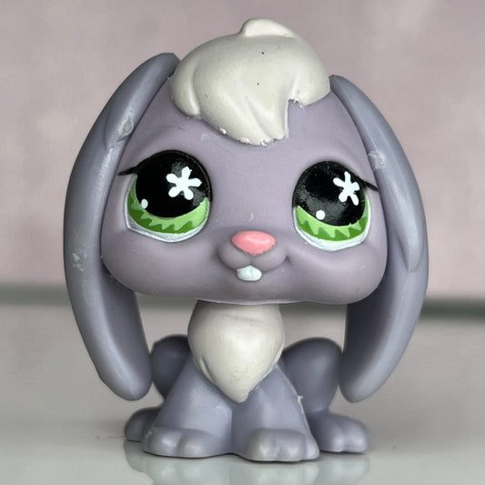 LPS Floppy Eared Bunny #648