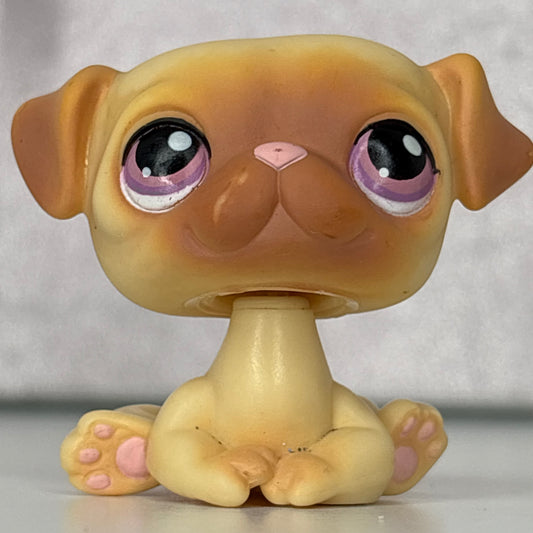 LPS Cosco Exclusive No # Pug