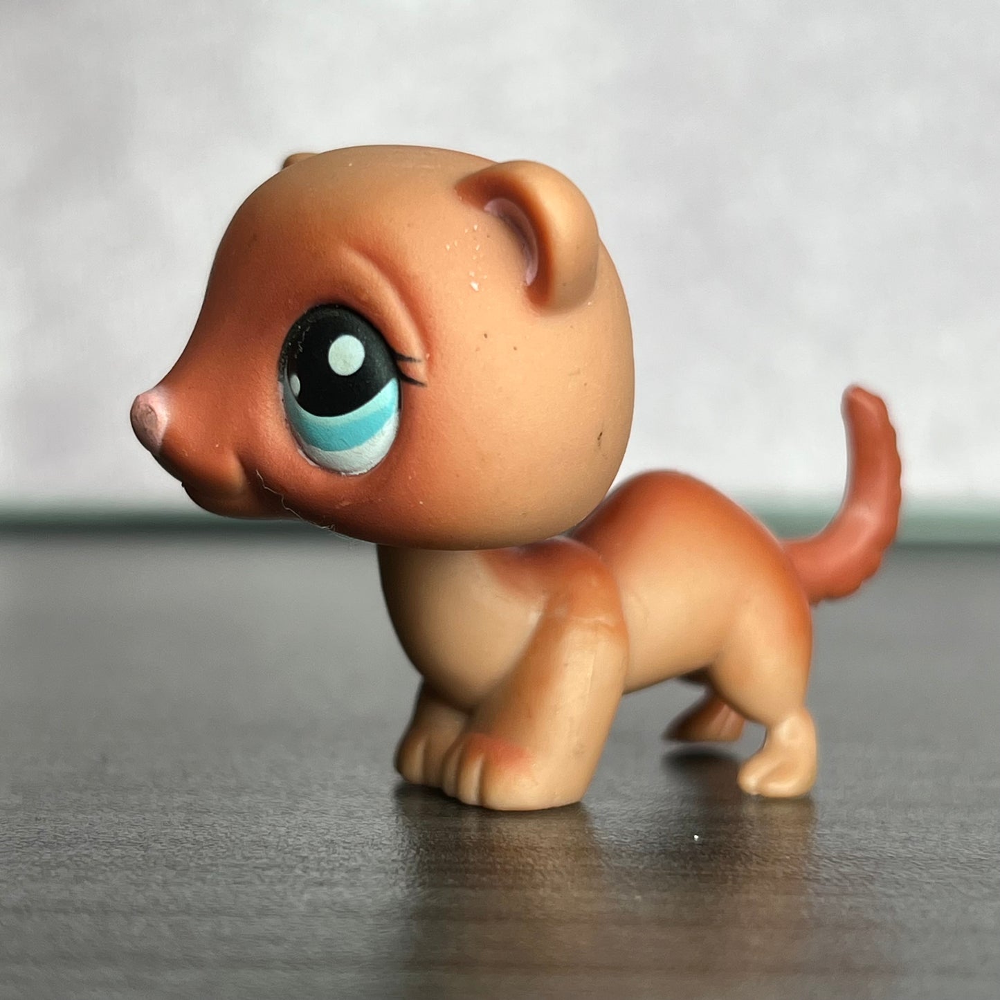 LPS Ferret #334