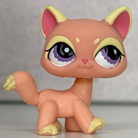 LPS Nintendo Exclusive Destiny Cat