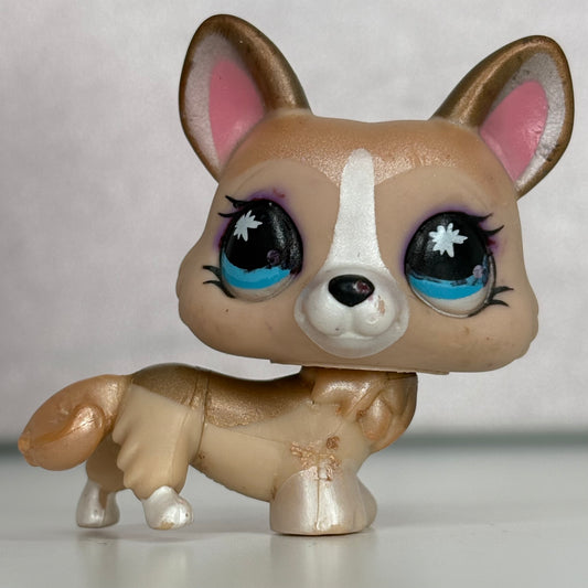 LPS Corgi Dog #871