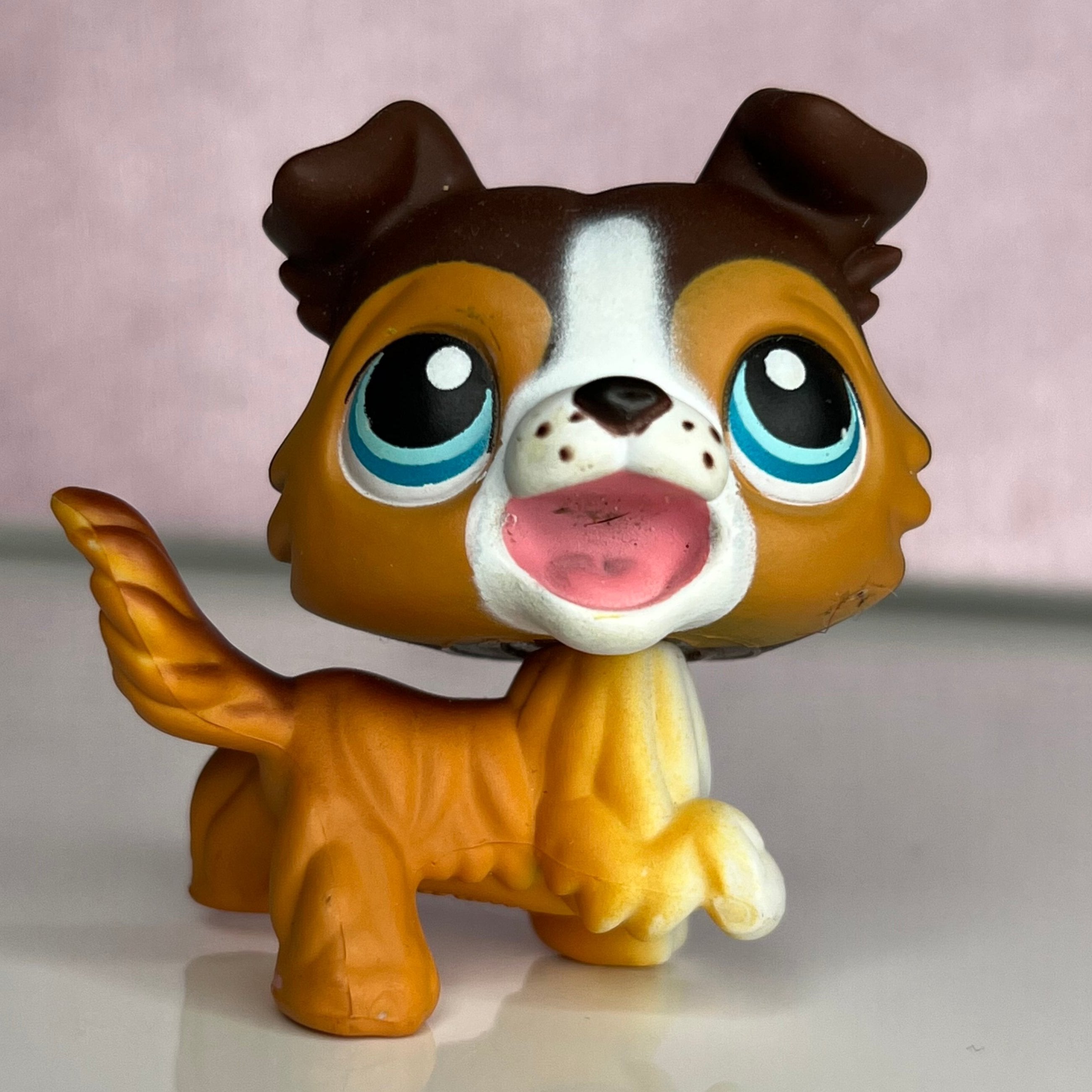 LPS Open Mouth Collie Dog LPS Collector Shop