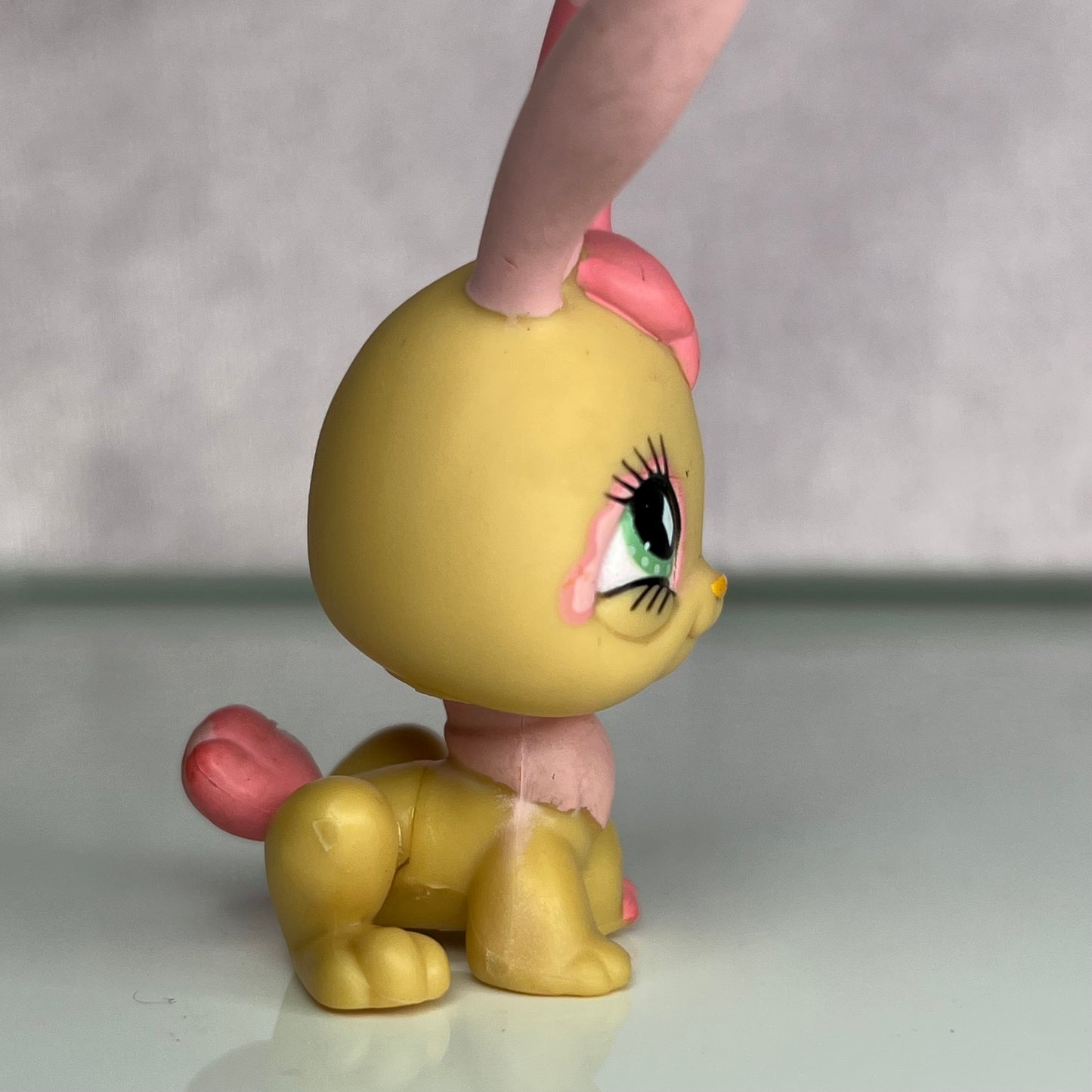 LPS Rabbit #506