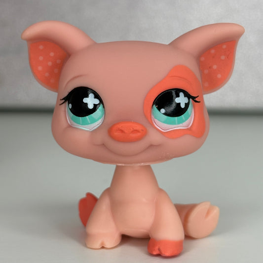 LPS Pig #622