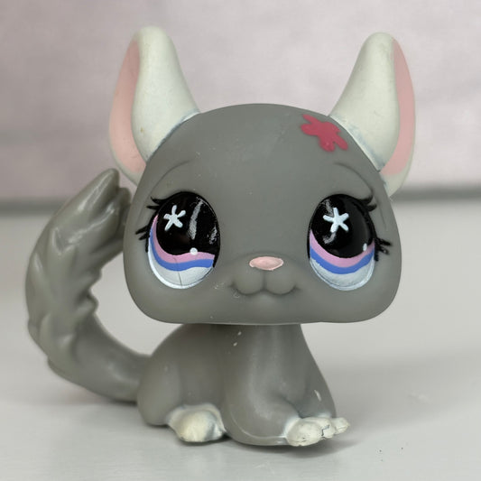 LPS Chinchilla
