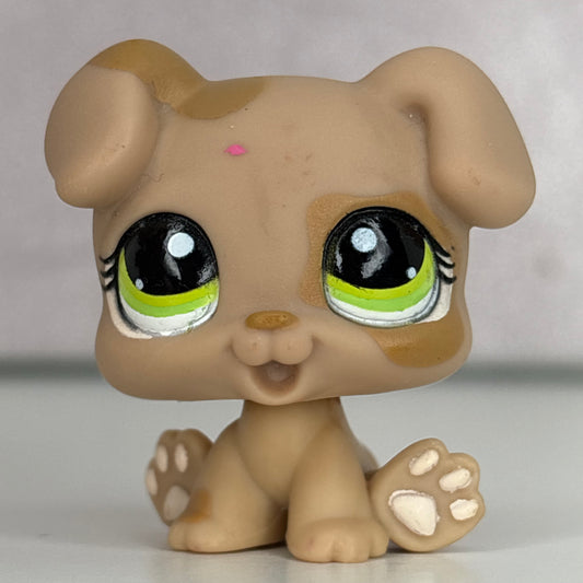 LPS Puppy Dog #1353