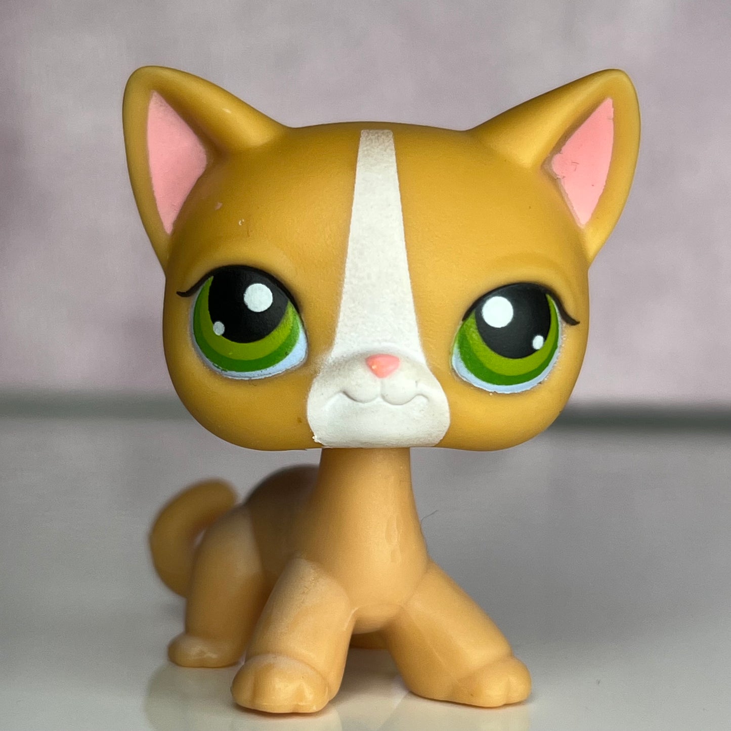 LPS Shorthair Cat #72