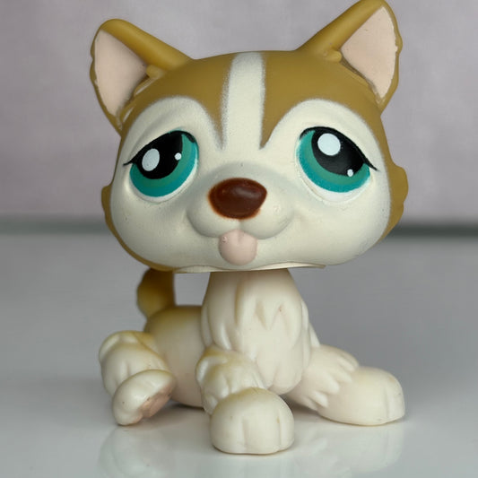 LPS Husky Dog #386