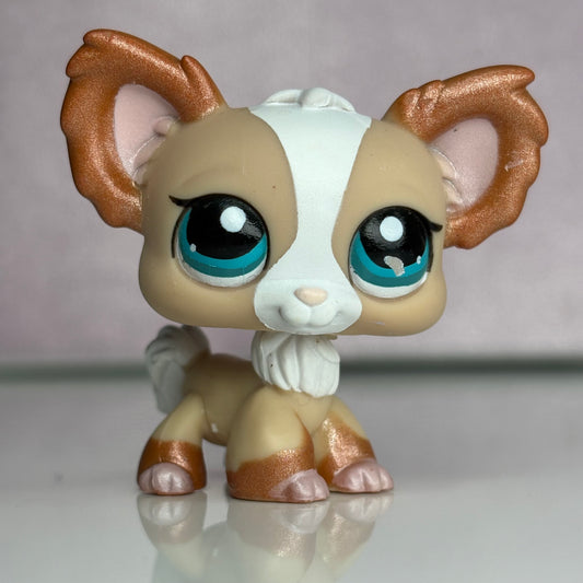 LPS Chihuahua Dog #1082