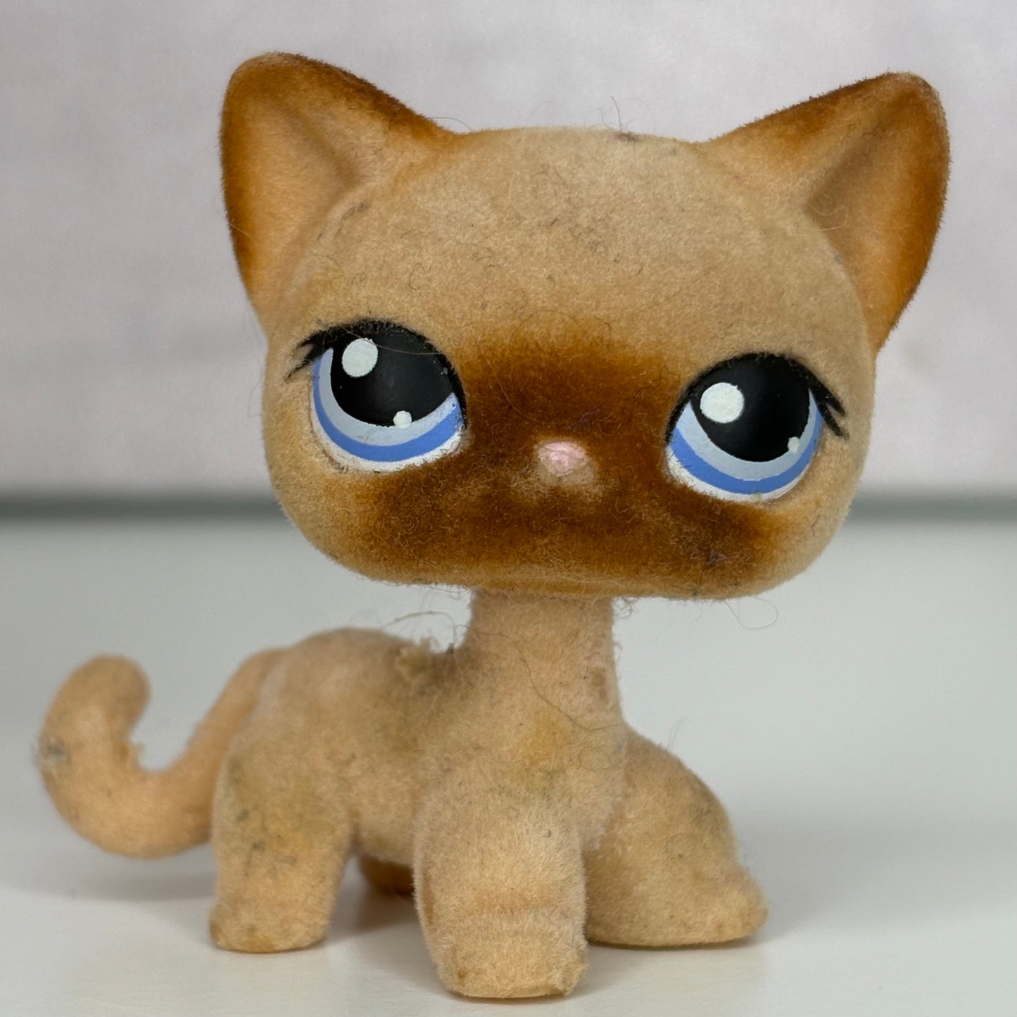 LPS Flocked Shorthair #338