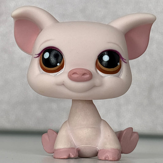 LPS Scholastic Pig