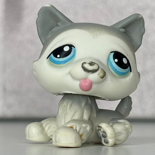 LPS Husky Dog #70