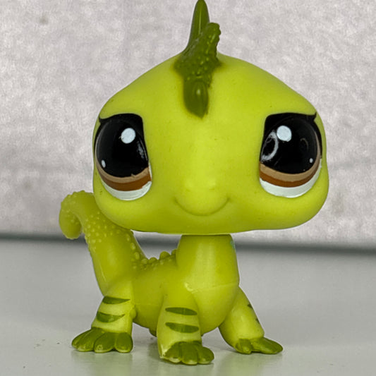 LPS Iguana