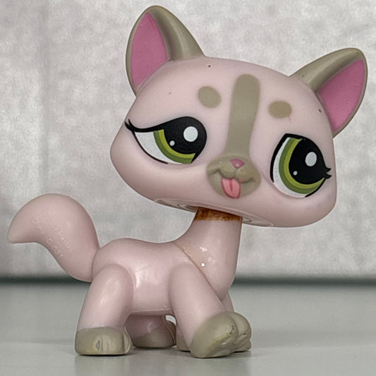 LPS Destiny Cat #1326