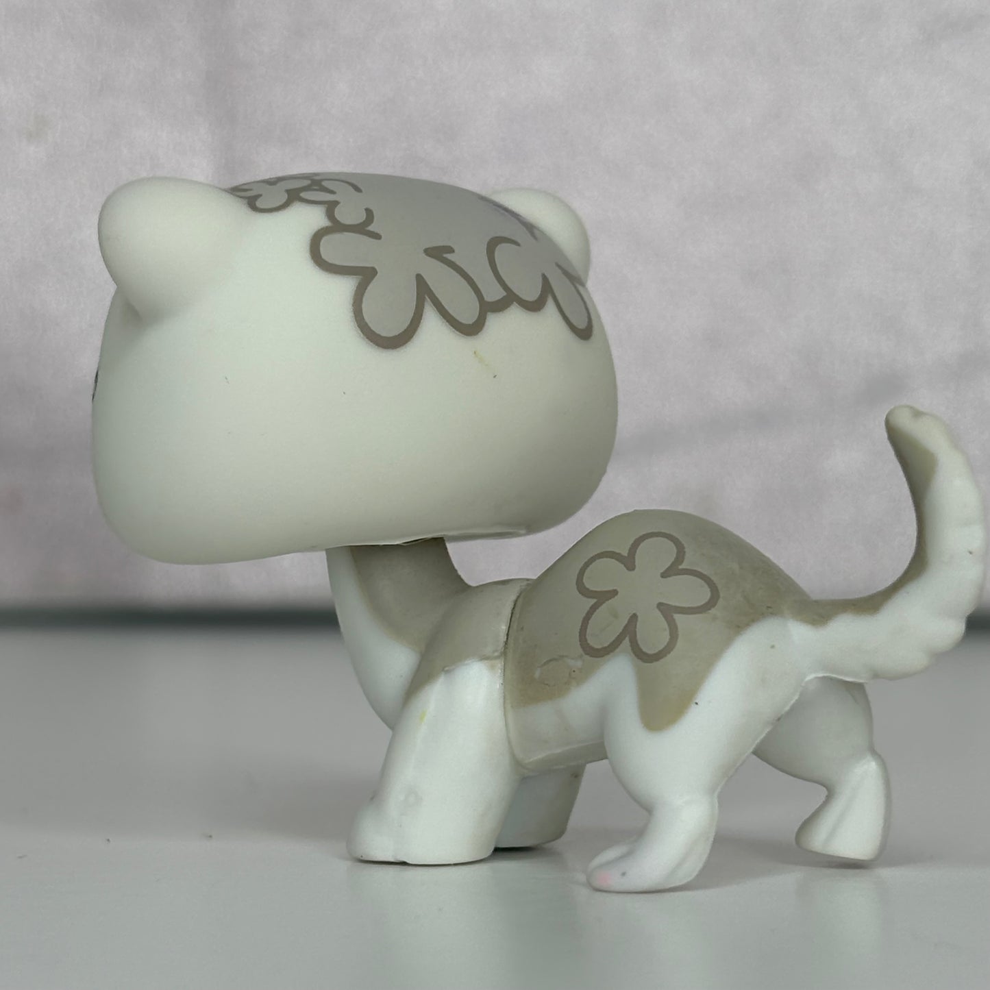 LPS Ferret #579