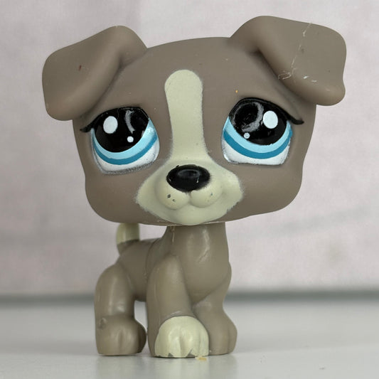 LPS Jack Russel Dog