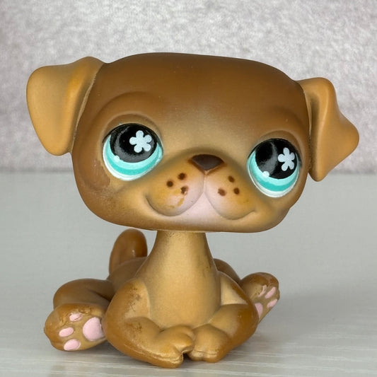 LPS No # Exclusive Pug