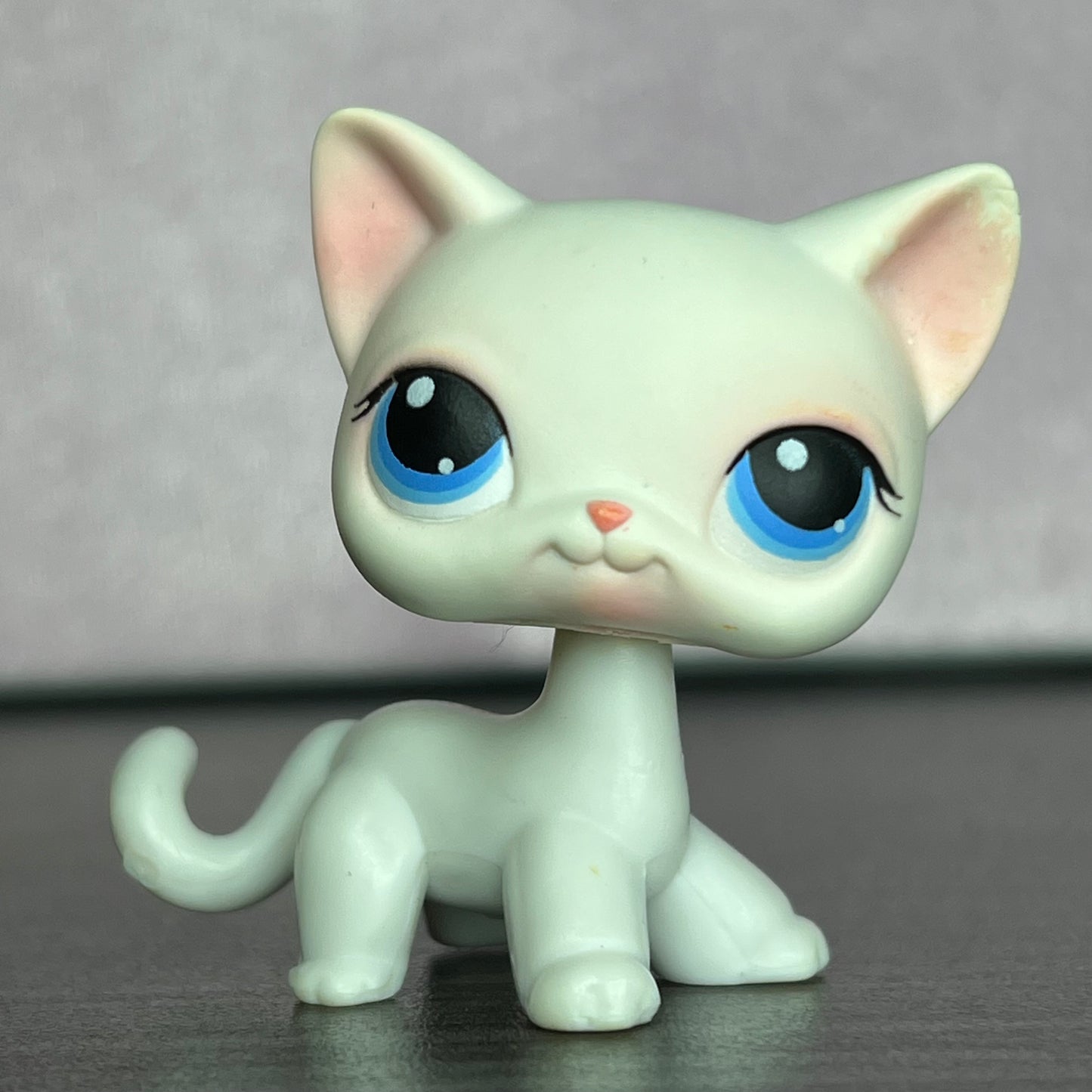 LPS Shorthair Cat #64