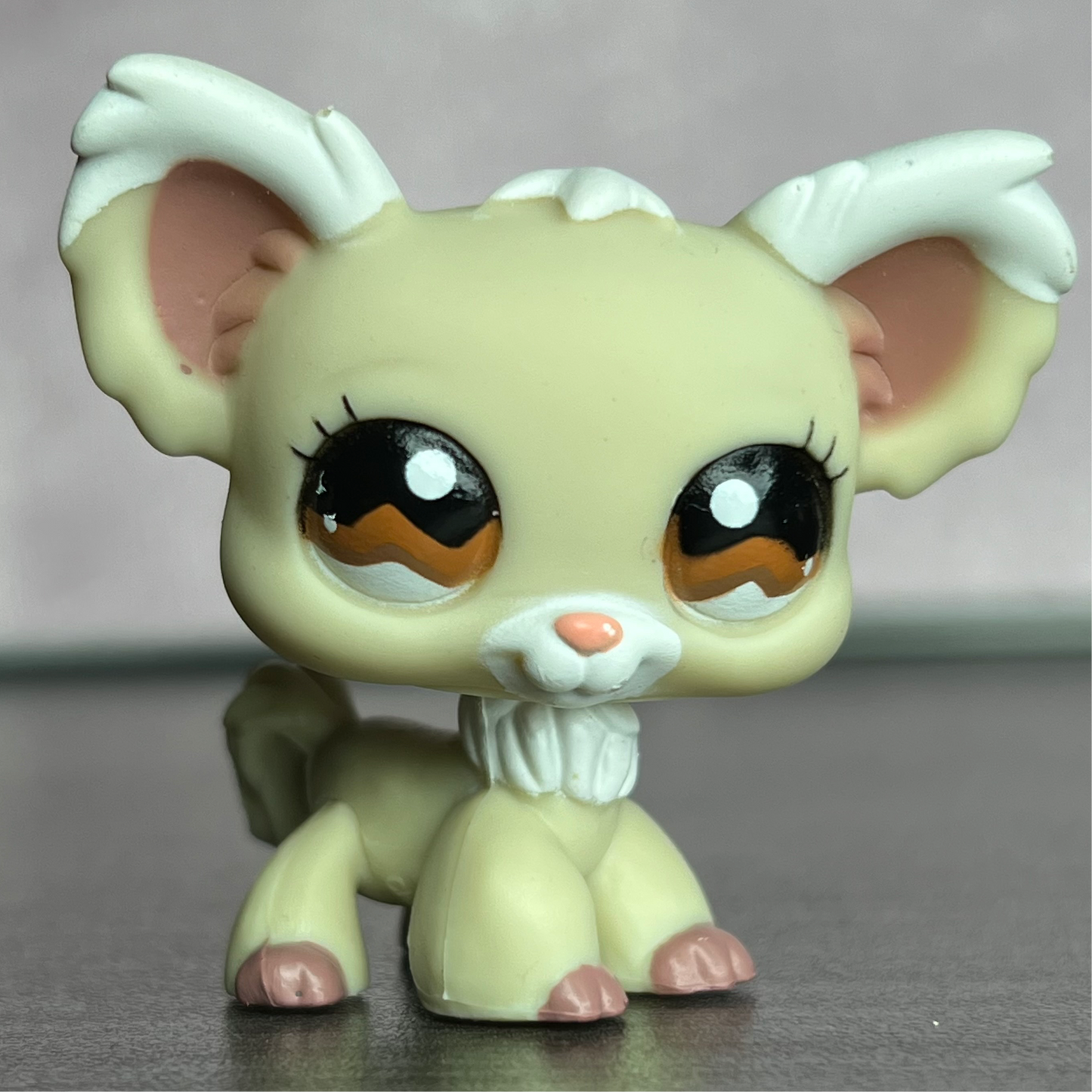 LPS Chihuahua Dog #1199