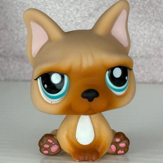LPS French Bulldog #1847