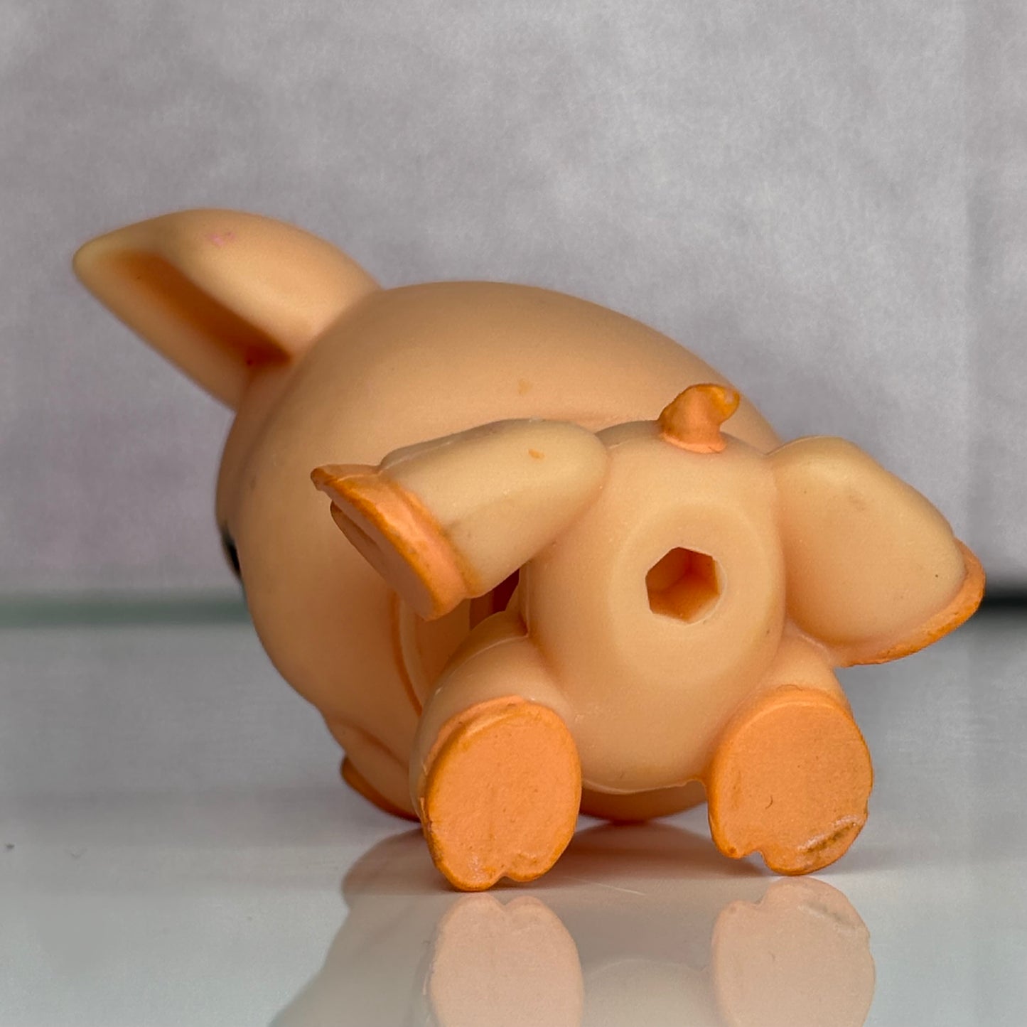 LPS Pig #998