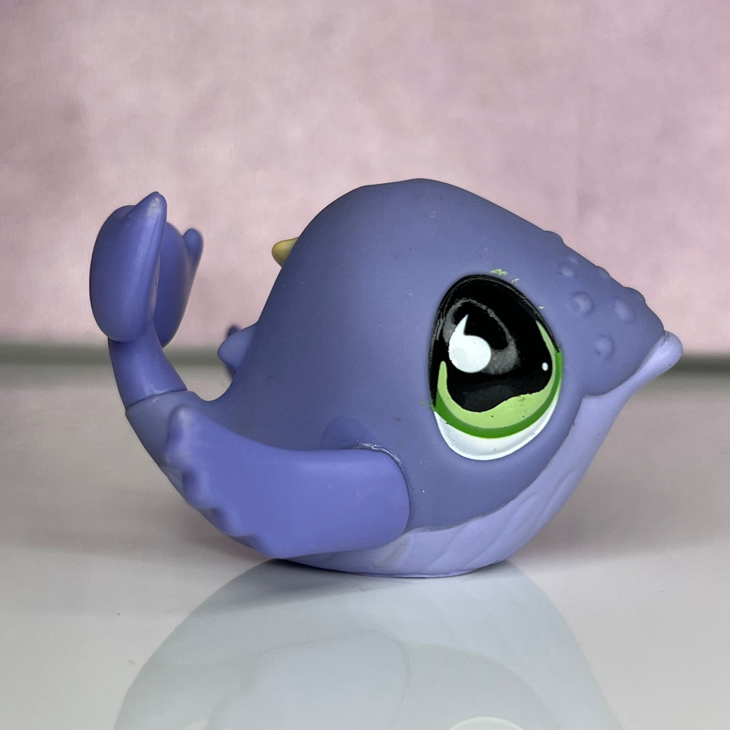 LPS Whale #895